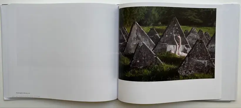 Julien Sunyé – Black Holes (Signed)