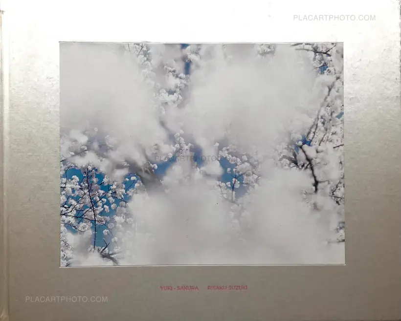 Risaku Suzuki – YUKI . SAKURA
