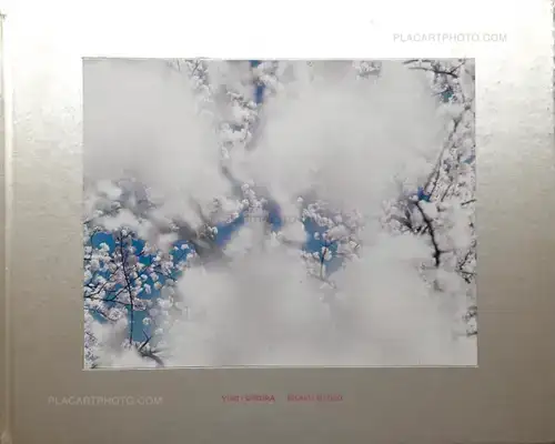 Risaku Suzuki – YUKI . SAKURA