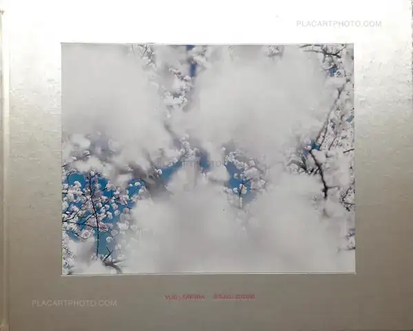 Risaku Suzuki – YUKI . SAKURA