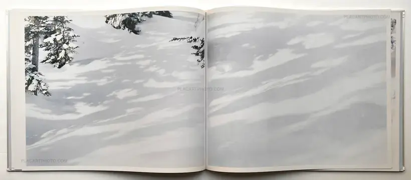 Risaku Suzuki – YUKI . SAKURA