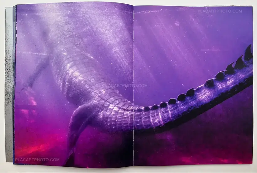 ARKO DATTO – SNAKE FIRE