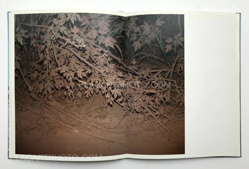 Viviane Sassen - Flamboya, Contrasto, 2008, Bologna – photobooks