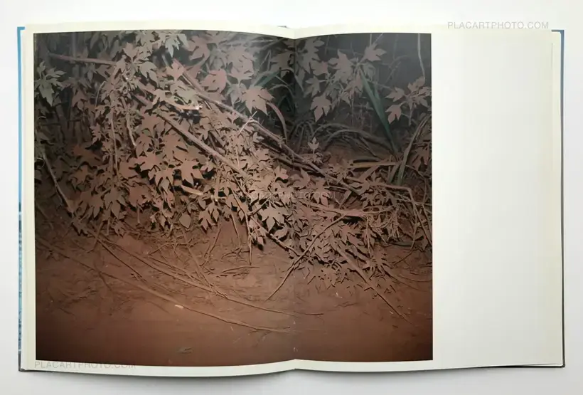 Viviane Sassen – Flamboya (First edition)