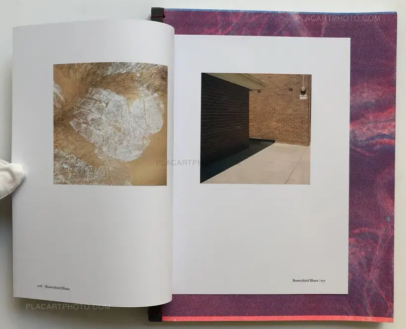 Ying Ang – The Quickening (Edt ltd signed and numbered)