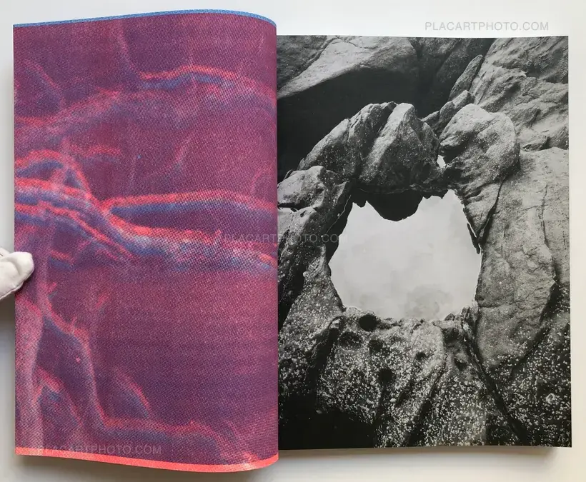 Ying Ang – The Quickening (Edt ltd signed and numbered)