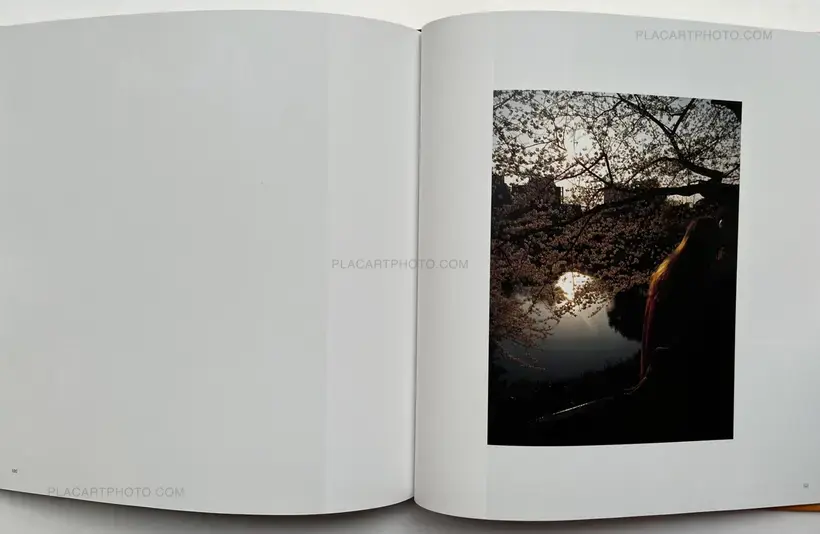 Mitsugu Ohnishi – Tokyo Heat Map 1997-2004