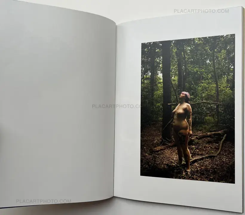 Keiko Nomura – Melody of Light