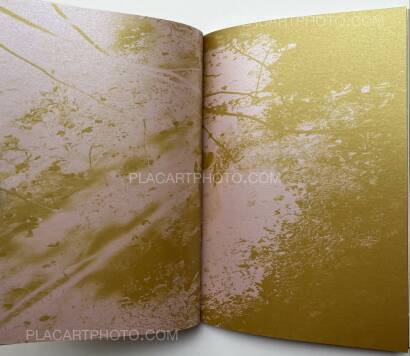 Keiko Nomura,Melody of Light Keiko Nomura,Melody of Light