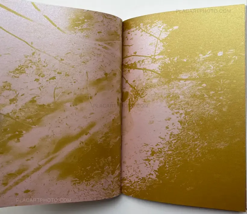 Keiko Nomura – Melody of Light
