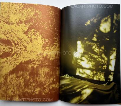 Keiko Nomura,Melody of Light Keiko Nomura,Melody of Light