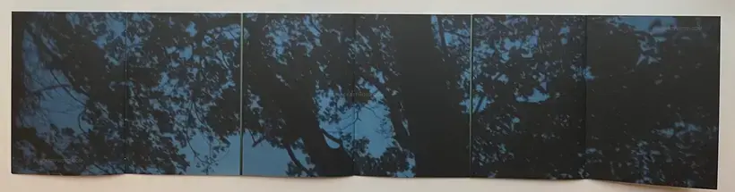 Eva Voutsaki – Traces Within (SIGNED AND NUMBERED /800)
