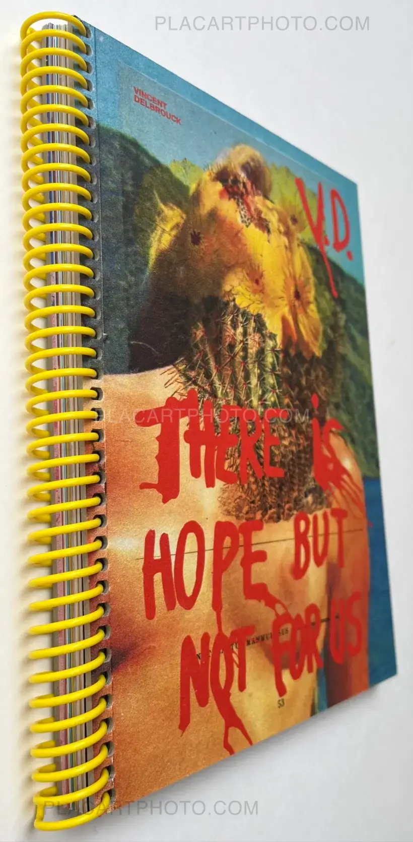 Vincent Delbrouck – There is hope but not for us (SIGNED & NUMBERED /500, SIGNED PRINT)