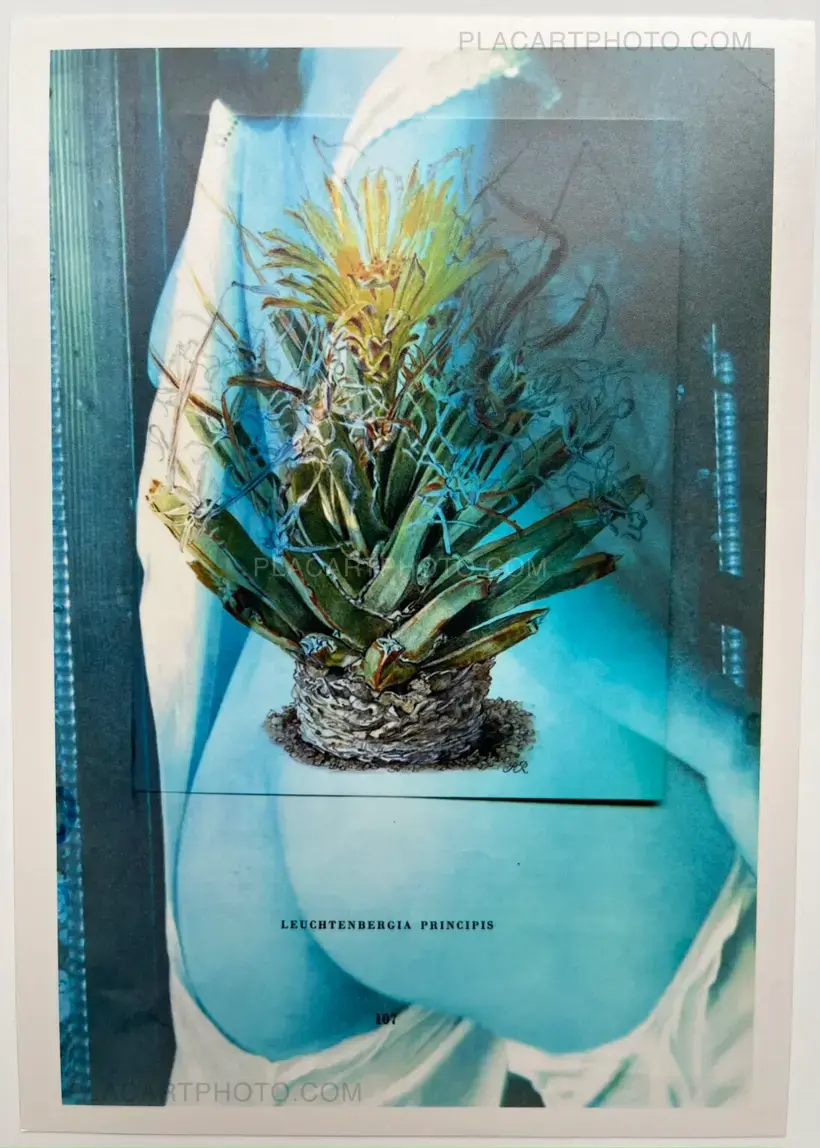 Vincent Delbrouck – There is hope but not for us (SIGNED & NUMBERED /500, SIGNED PRINT)