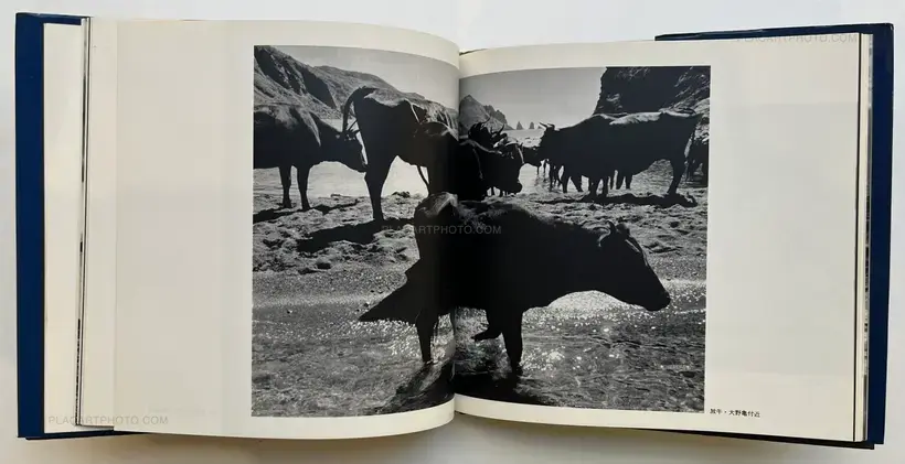 Takeji Iwamiya – Sado