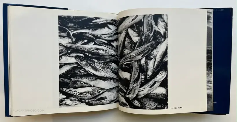 Takeji Iwamiya – Sado