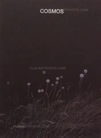 Bérangère Fromont – Cosmos (Signed)