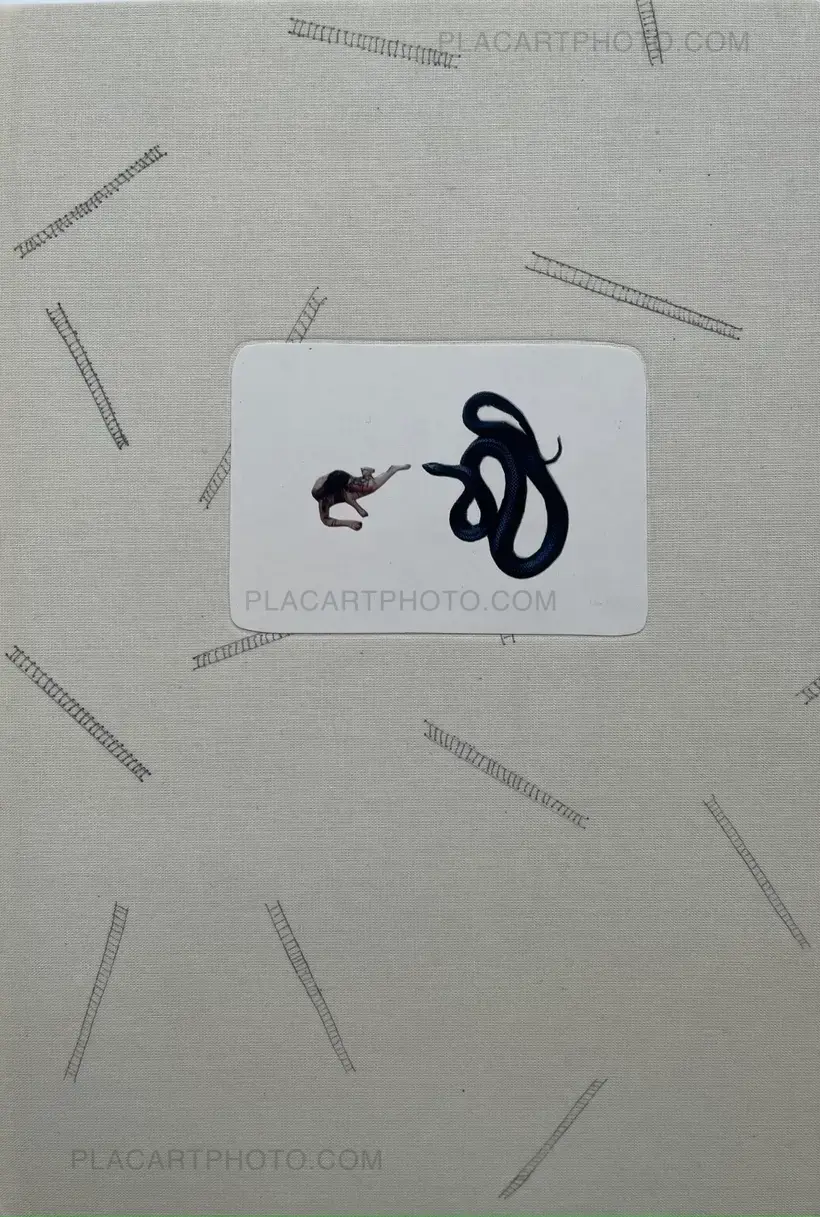 Sara Skorgan Teigen – Sleeping State of Being - Creatures of Night and Day