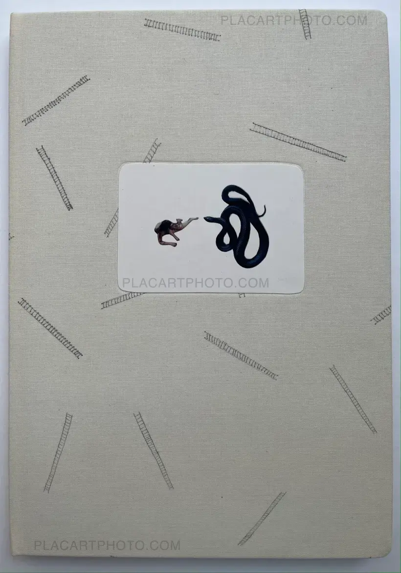 Sara Skorgan Teigen – Sleeping State of Being - Creatures of Night and Day