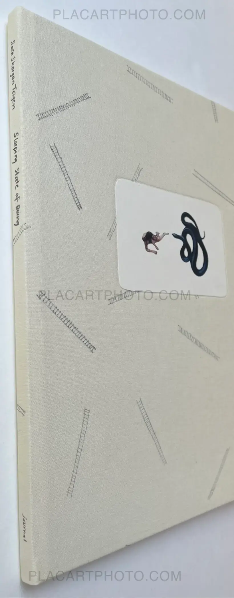 Sara Skorgan Teigen – Sleeping State of Being - Creatures of Night and Day