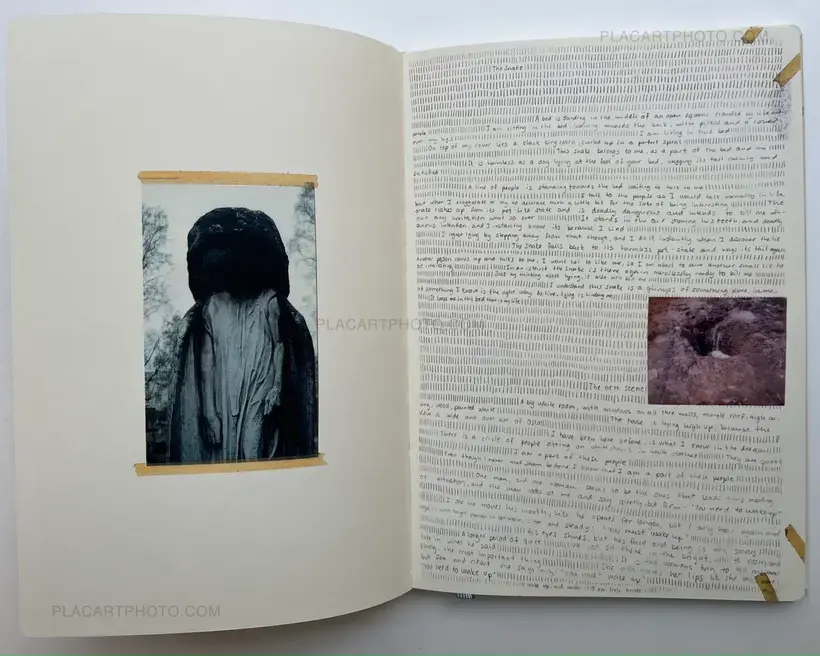 Sara Skorgan Teigen – Sleeping State of Being - Creatures of Night and Day