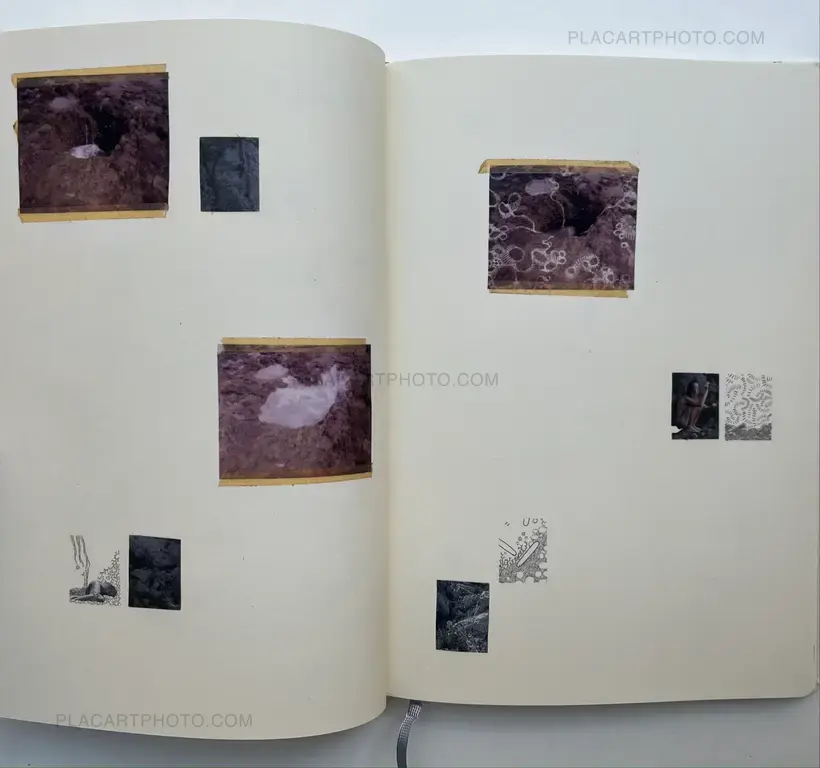 Sara Skorgan Teigen – Sleeping State of Being - Creatures of Night and Day