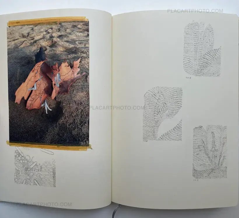 Sara Skorgan Teigen – Sleeping State of Being - Creatures of Night and Day