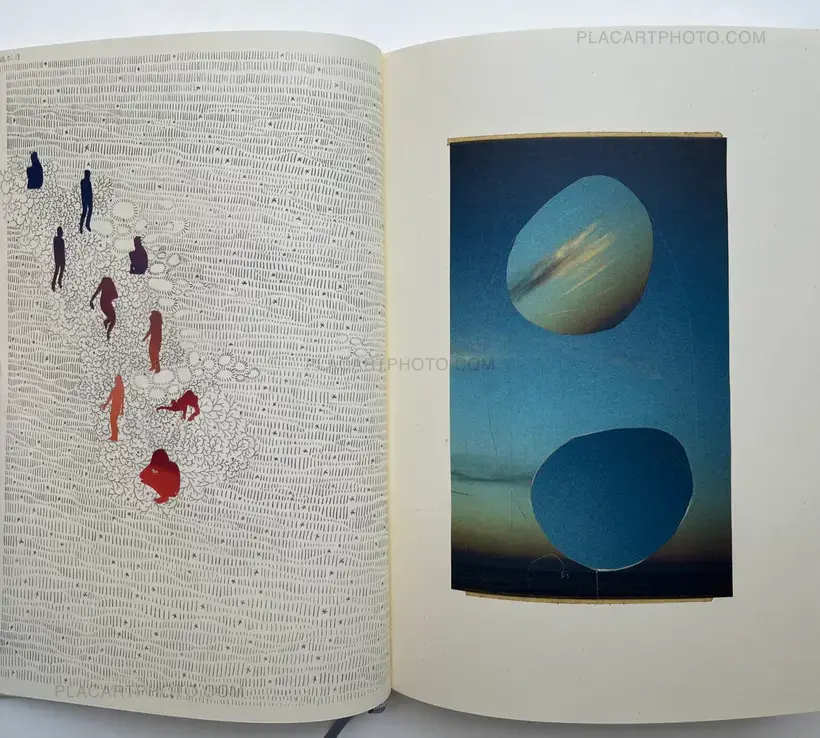 Sara Skorgan Teigen – Sleeping State of Being - Creatures of Night and Day