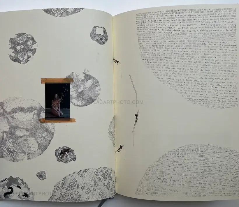 Sara Skorgan Teigen – Sleeping State of Being - Creatures of Night and Day