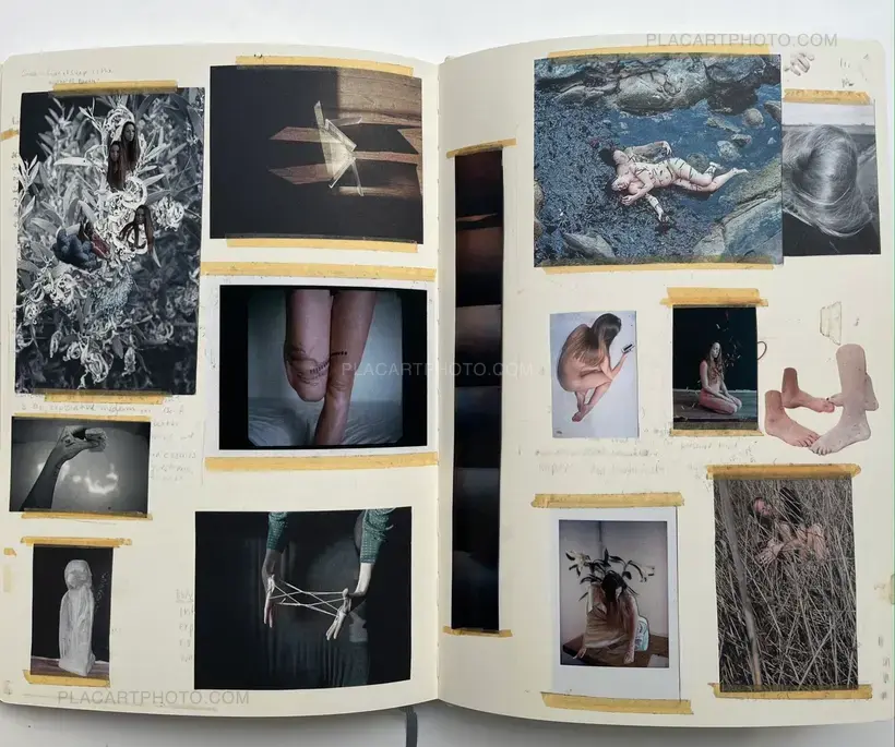 Sara Skorgan Teigen – Sleeping State of Being - Creatures of Night and Day