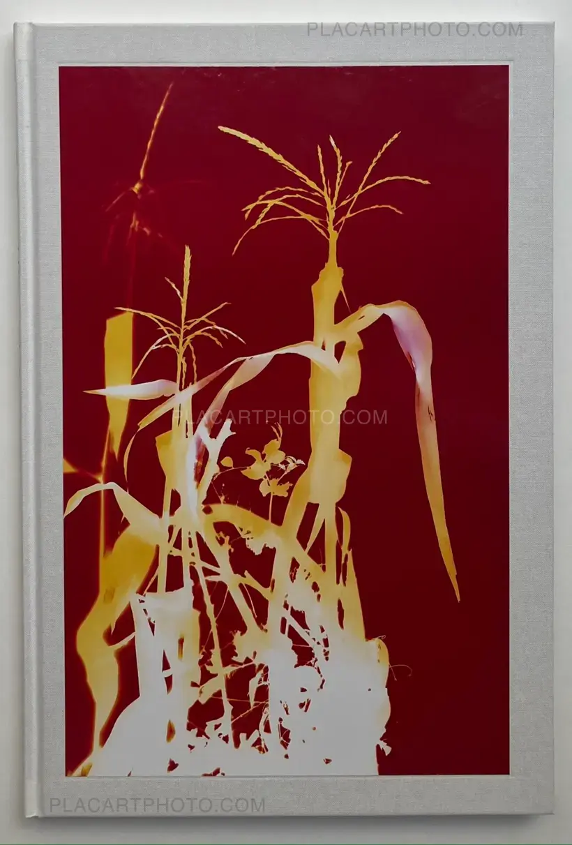Hendrik Zeitler – 1:1 Hammarkullen (WITH SIGNED AND NUMBERED PRINT)