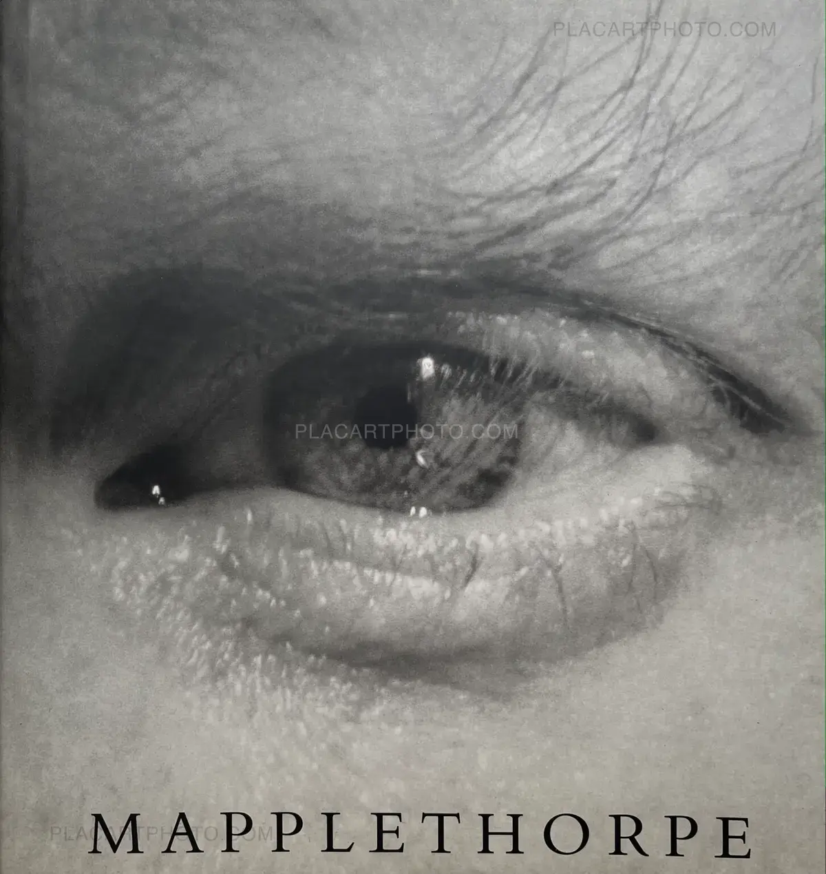 Robert Mapplethorpe, Mapplethorpe, Schirmer/Mosel, 1992 | Le Plac