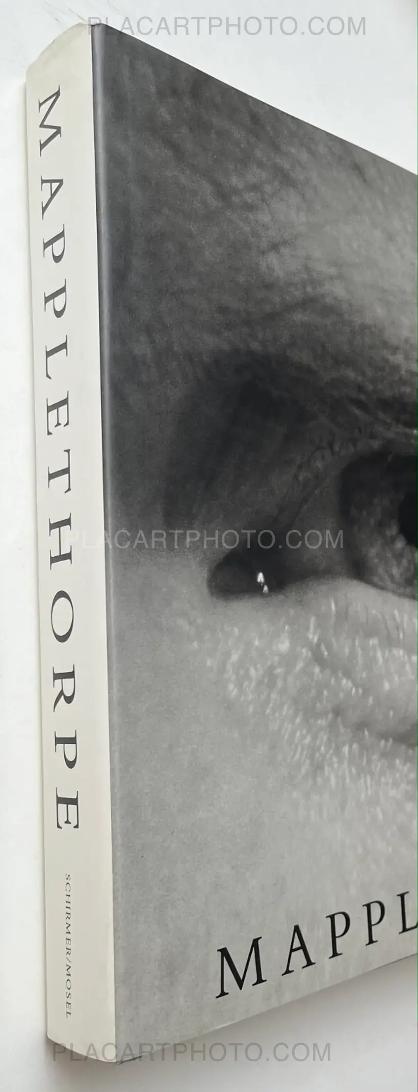 Robert Mapplethorpe – Mapplethorpe