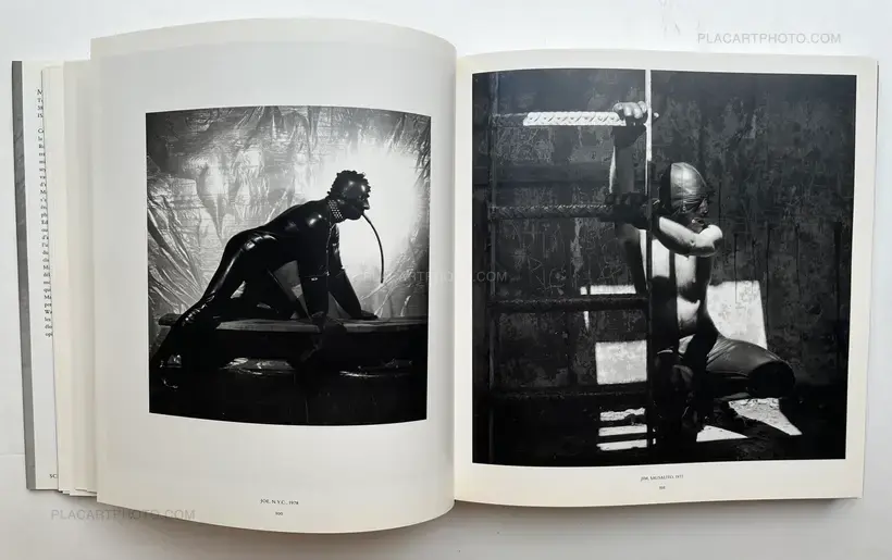 Robert Mapplethorpe – Mapplethorpe
