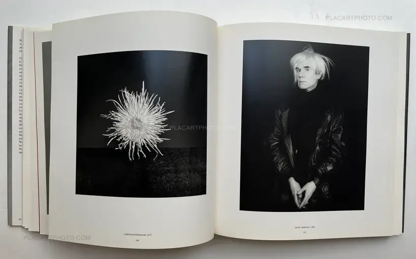 Robert Mapplethorpe – Mapplethorpe