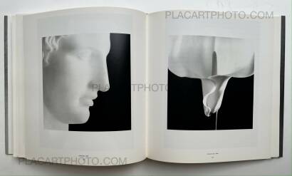 Robert Mapplethorpe,Mapplethorpe