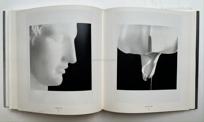 Robert Mapplethorpe – Mapplethorpe