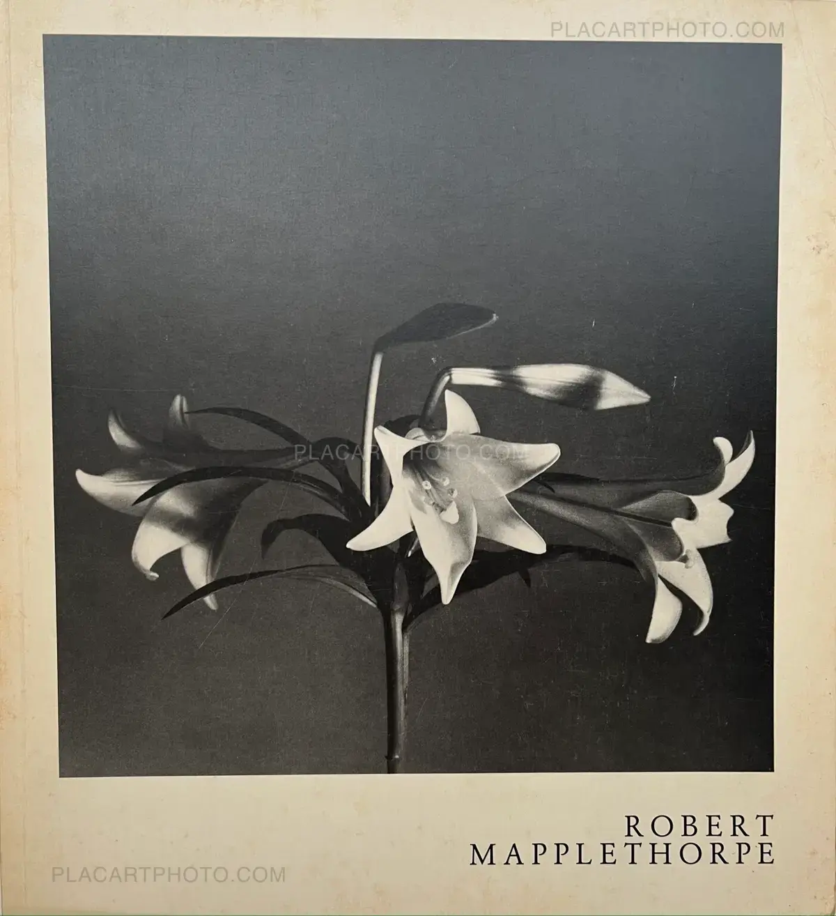 Robert Mapplethorpe, Robert Mapplethorpe Kunsthalle Basel