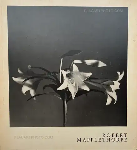 Robert Mapplethorpe – Robert Mapplethorpe Kunsthalle Basel