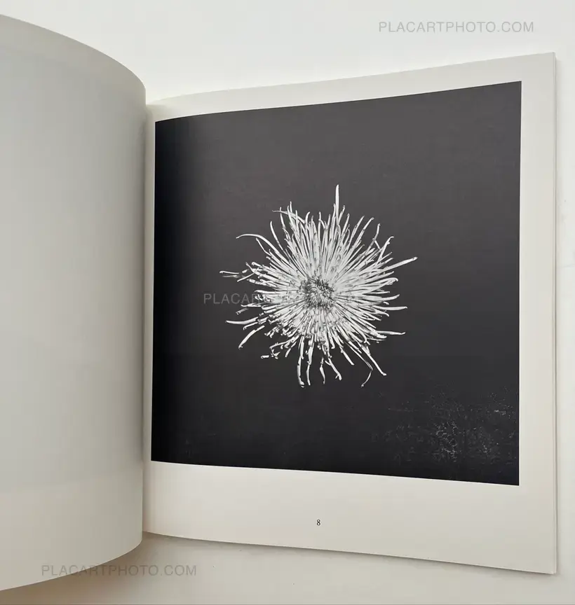 Robert Mapplethorpe – Robert Mapplethorpe Kunsthalle Basel
