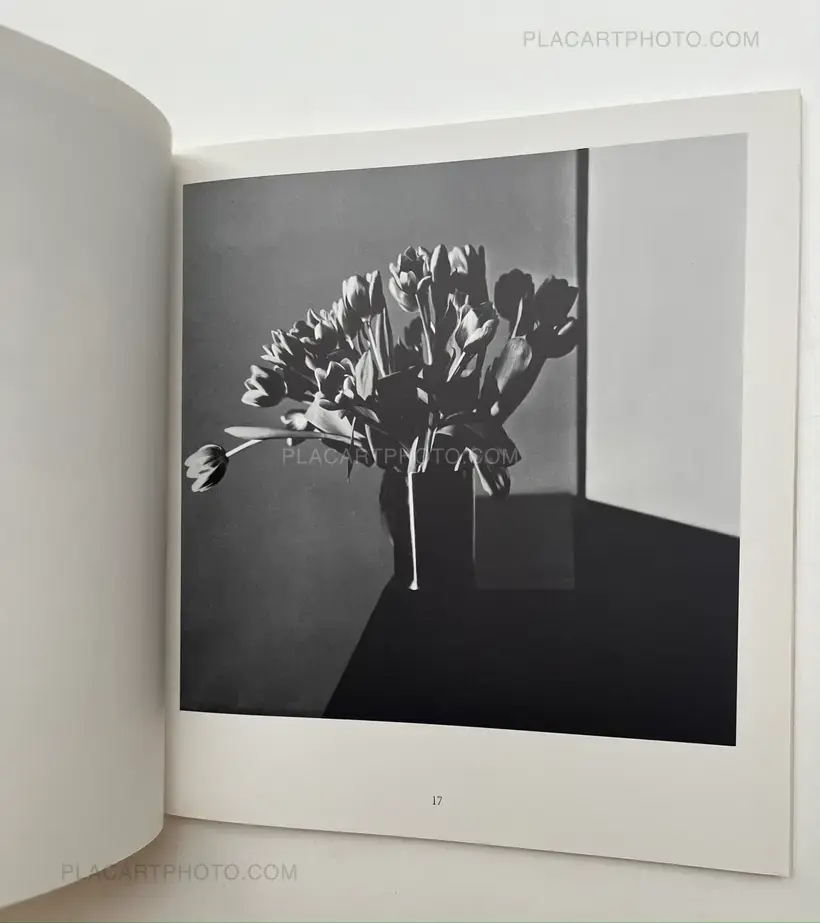 Robert Mapplethorpe – Robert Mapplethorpe Kunsthalle Basel