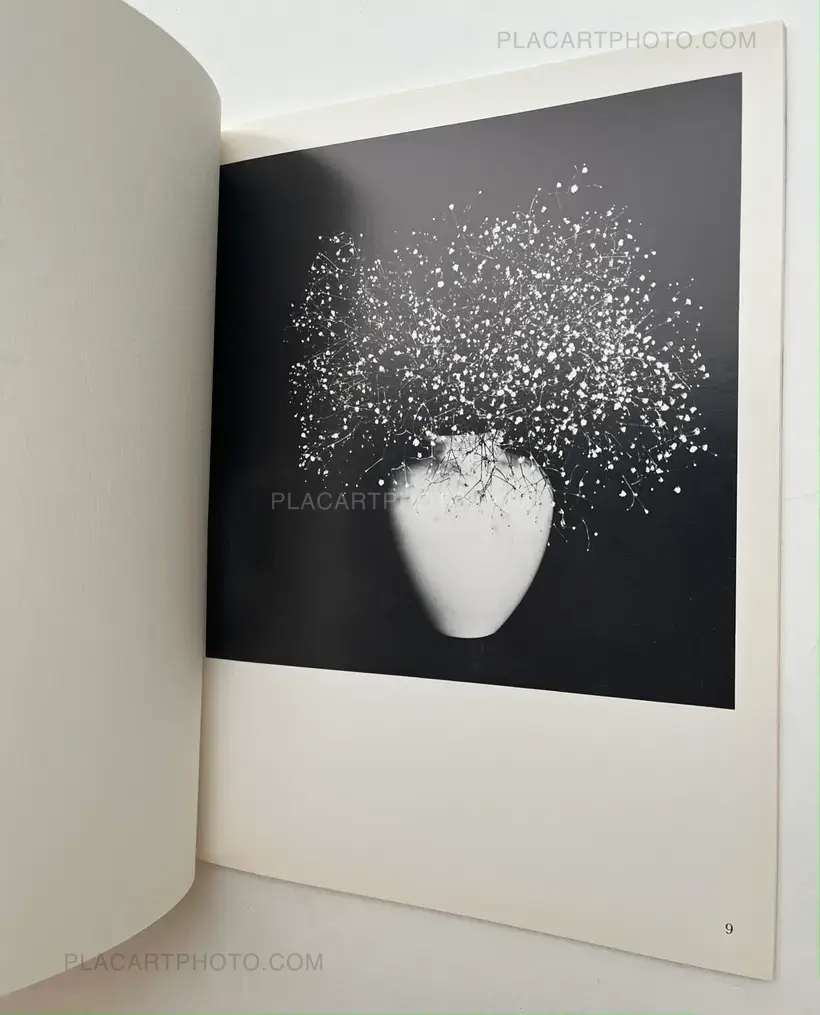 Robert Mapplethorpe – Fotos/Photographs
