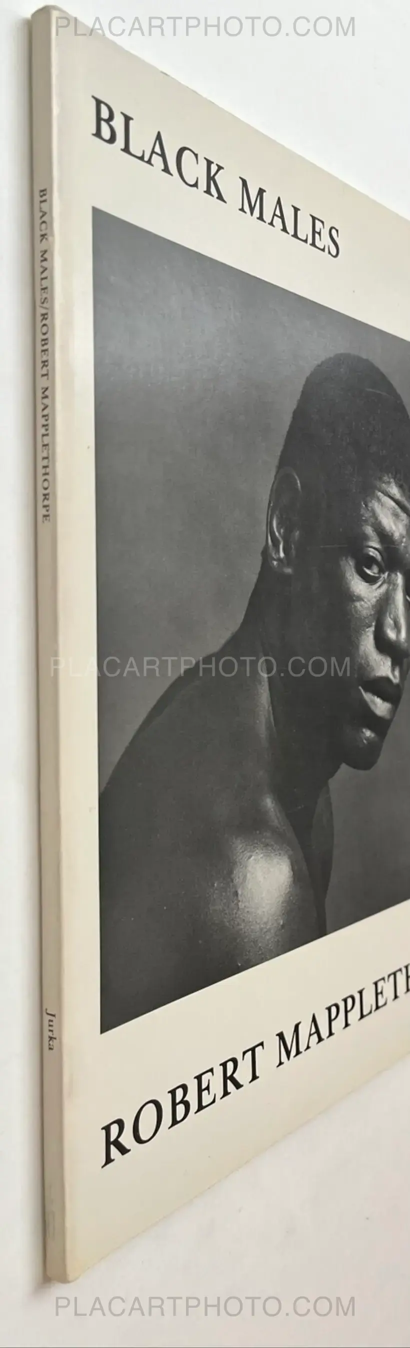 Robert Mapplethorpe – Black Males