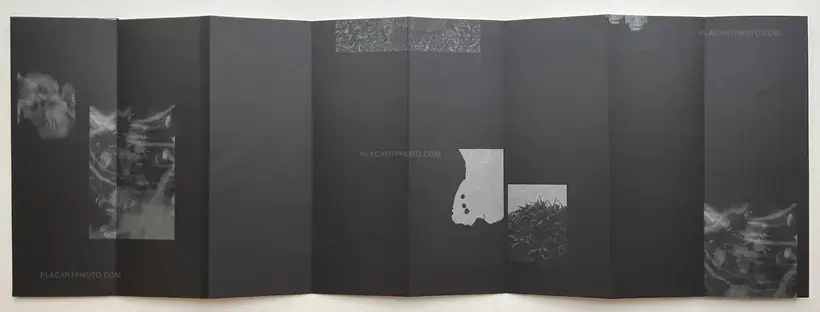 Kathleen Alisch – Atlas of voids