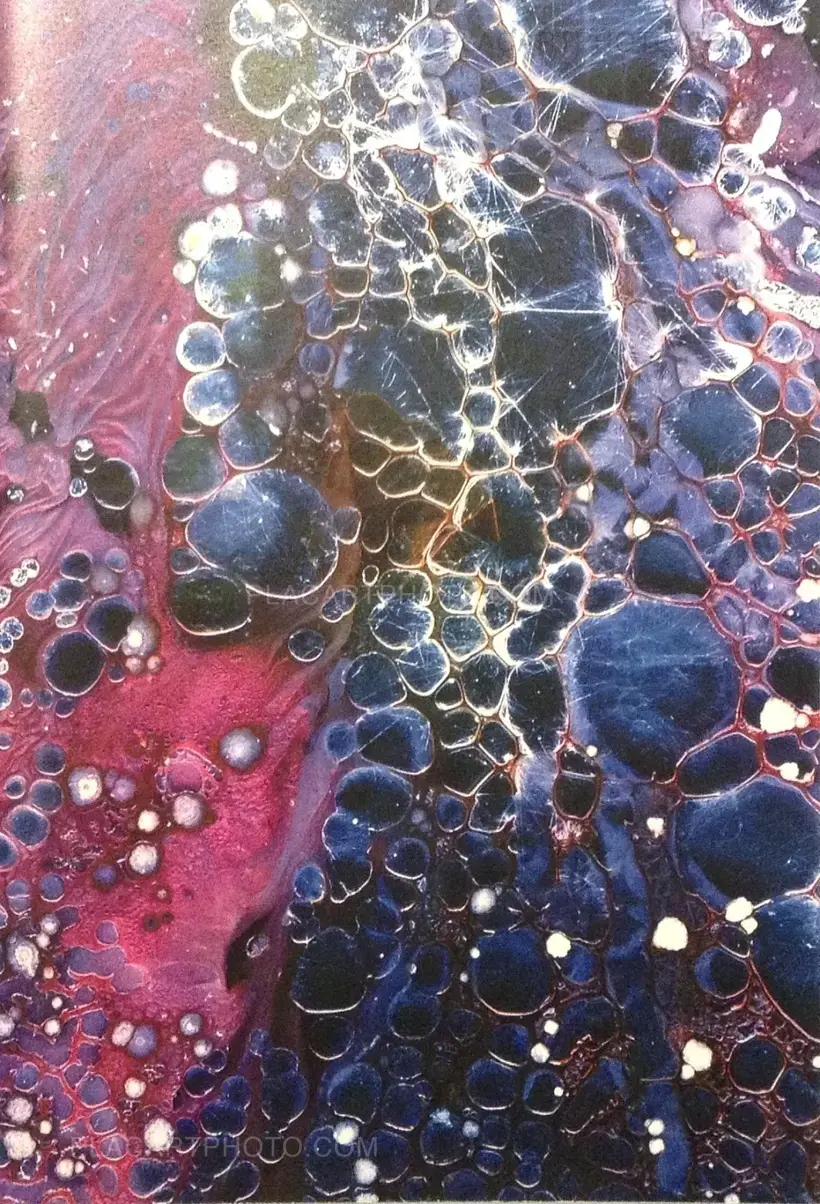 Daisuke Yokota – Cell (signed)