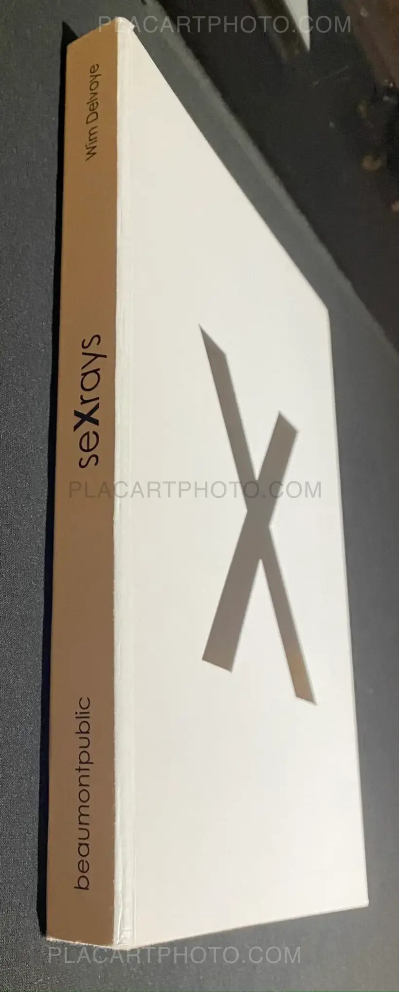 Wim Delvoye – seXrays