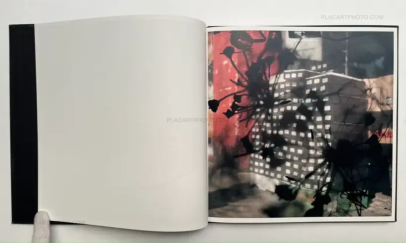 Stephen Gill – Talking to Ants (SIGNED)