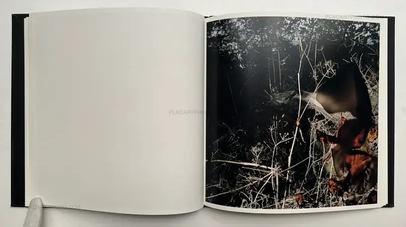 Stephen Gill – Talking to Ants (SIGNED)