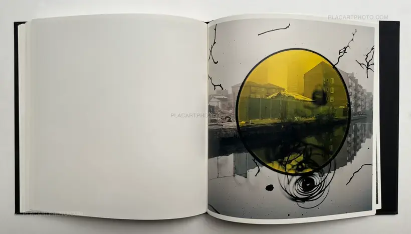 Stephen Gill – Talking to Ants (SIGNED)