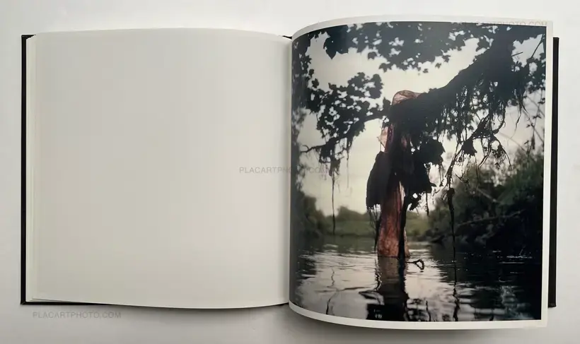 Stephen Gill – Talking to Ants (SIGNED)